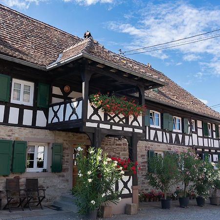 Quatzenheim Chambres D'Hotes De Charme A La Ferme Freysz المظهر الخارجي الصورة