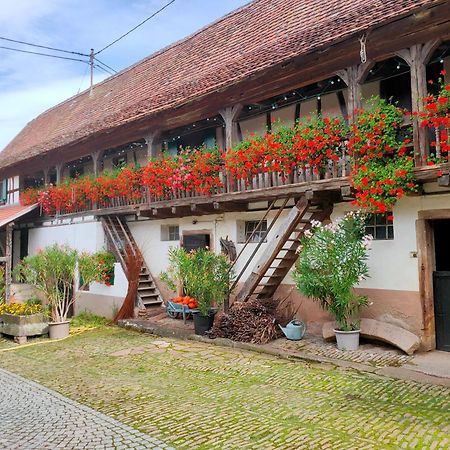 Quatzenheim Chambres D'Hotes De Charme A La Ferme Freysz المظهر الخارجي الصورة