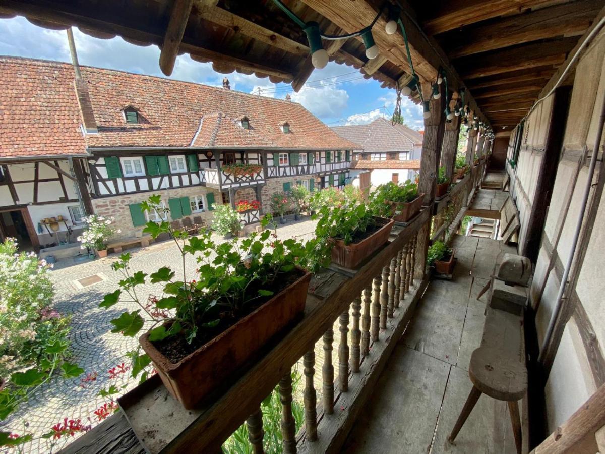 Quatzenheim Chambres D'Hotes De Charme A La Ferme Freysz المظهر الخارجي الصورة