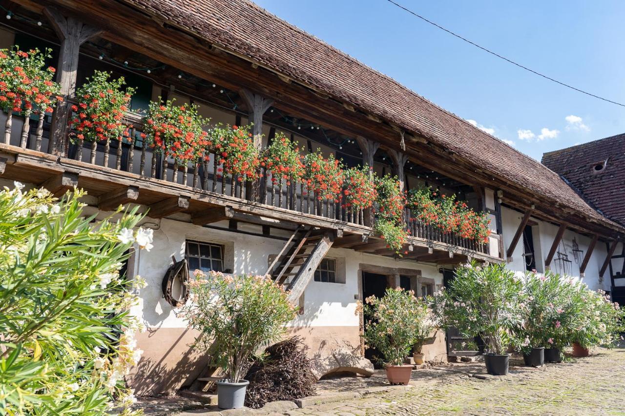 Quatzenheim Chambres D'Hotes De Charme A La Ferme Freysz المظهر الخارجي الصورة