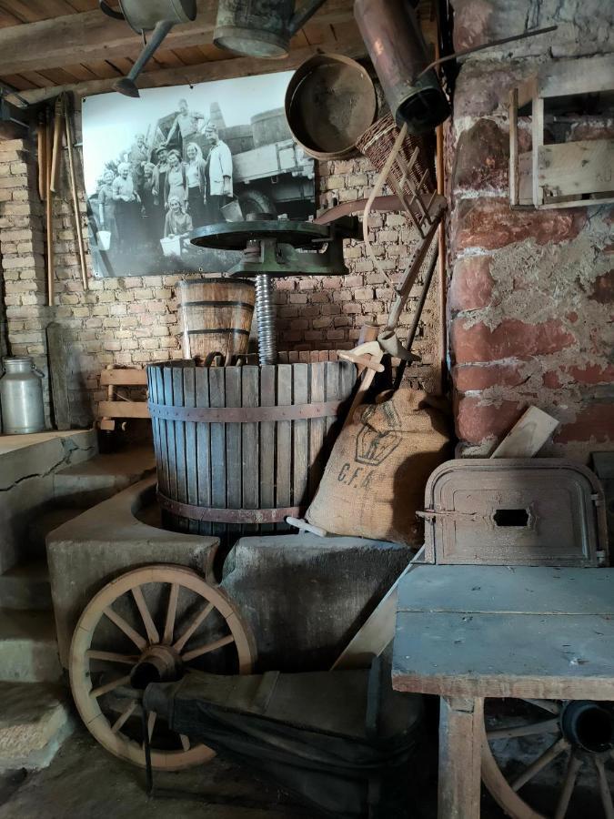 Quatzenheim Chambres D'Hotes De Charme A La Ferme Freysz المظهر الخارجي الصورة