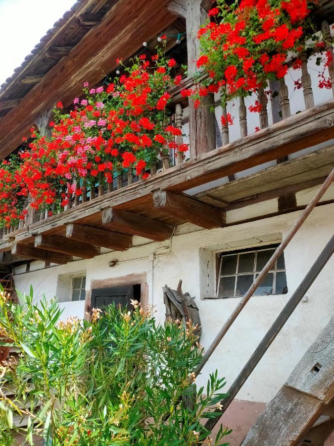Quatzenheim Chambres D'Hotes De Charme A La Ferme Freysz المظهر الخارجي الصورة